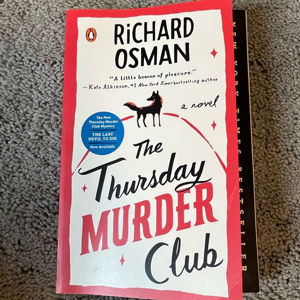 Fun mystery thriller novel!